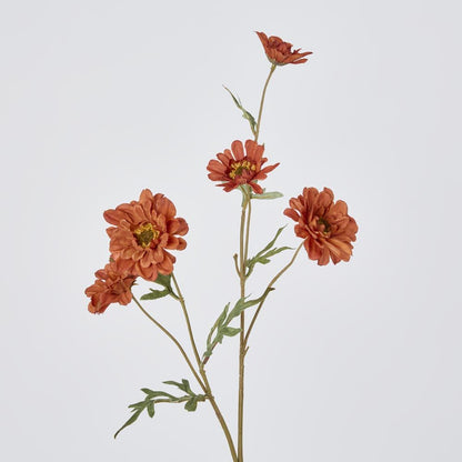 Daisy Spray Brown 75Cm