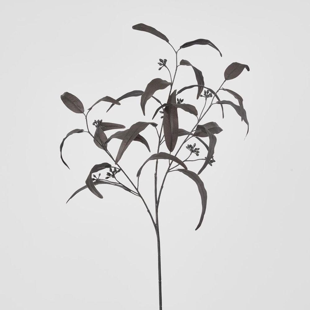 Halloween Willow Eucalyptus Black 72Cm