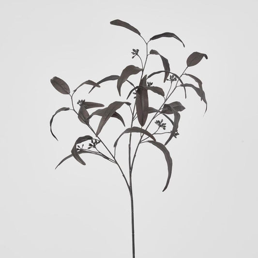 Halloween Willow Eucalyptus Black 72Cm