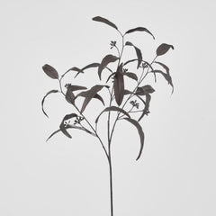 Halloween Willow Eucalyptus Black 72Cm