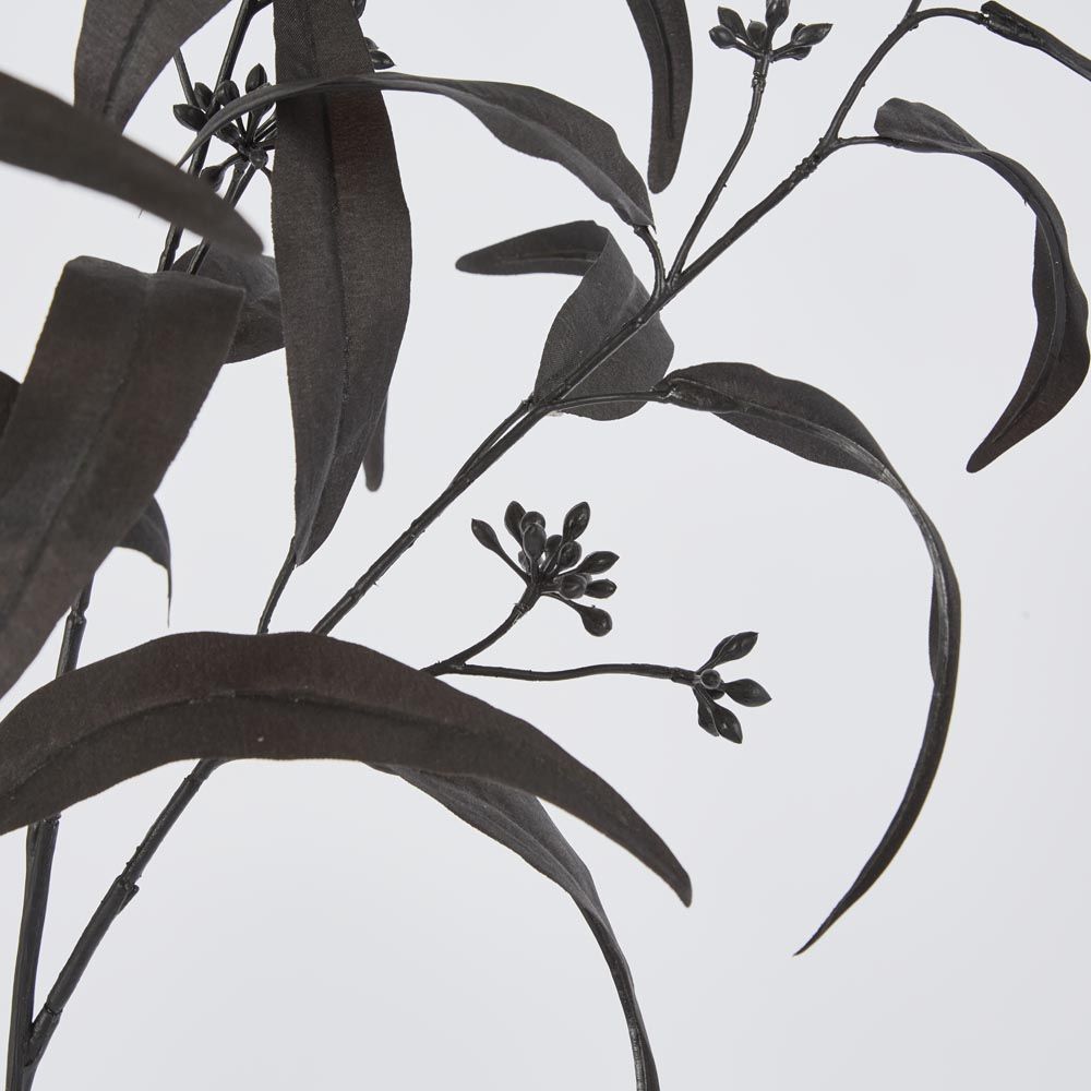Halloween Willow Eucalyptus Black 72Cm
