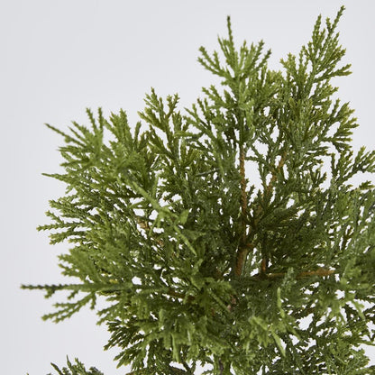 Cedar Bush Dark Green 46Cm