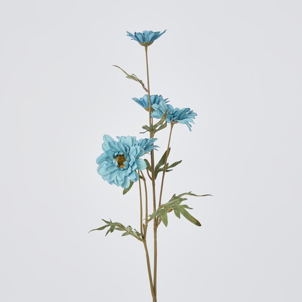 Daisy Spray Blue 75Cm