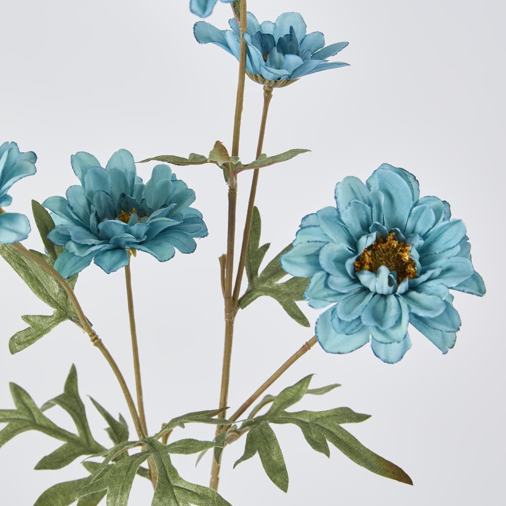 Daisy Spray Blue 75Cm