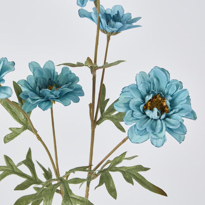 Daisy Spray Blue 75Cm