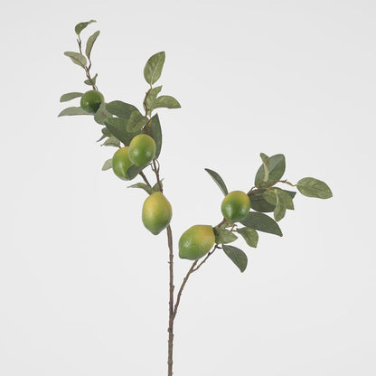 Lime Branch Spray X 6 Limes With Leaves