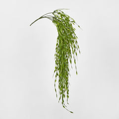 Hangine Willow Vine 65Cm