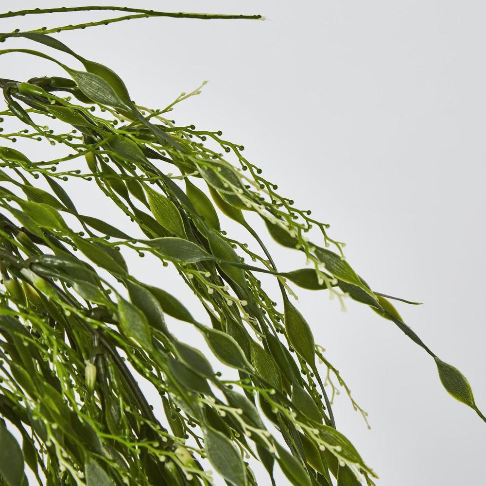 Hangine Willow Vine 65Cm