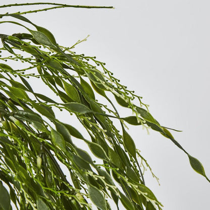 Hangine Willow Vine 65Cm
