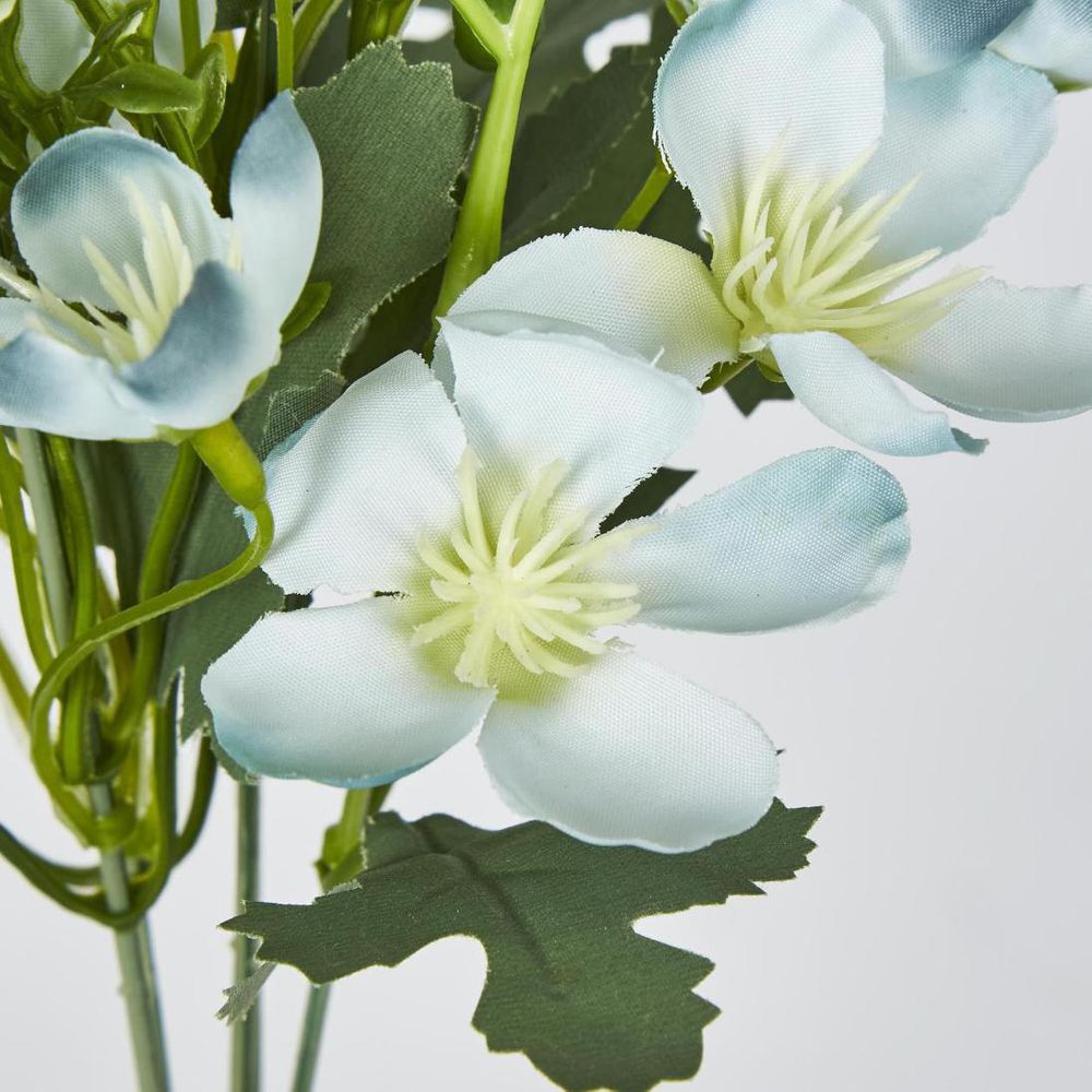 开花