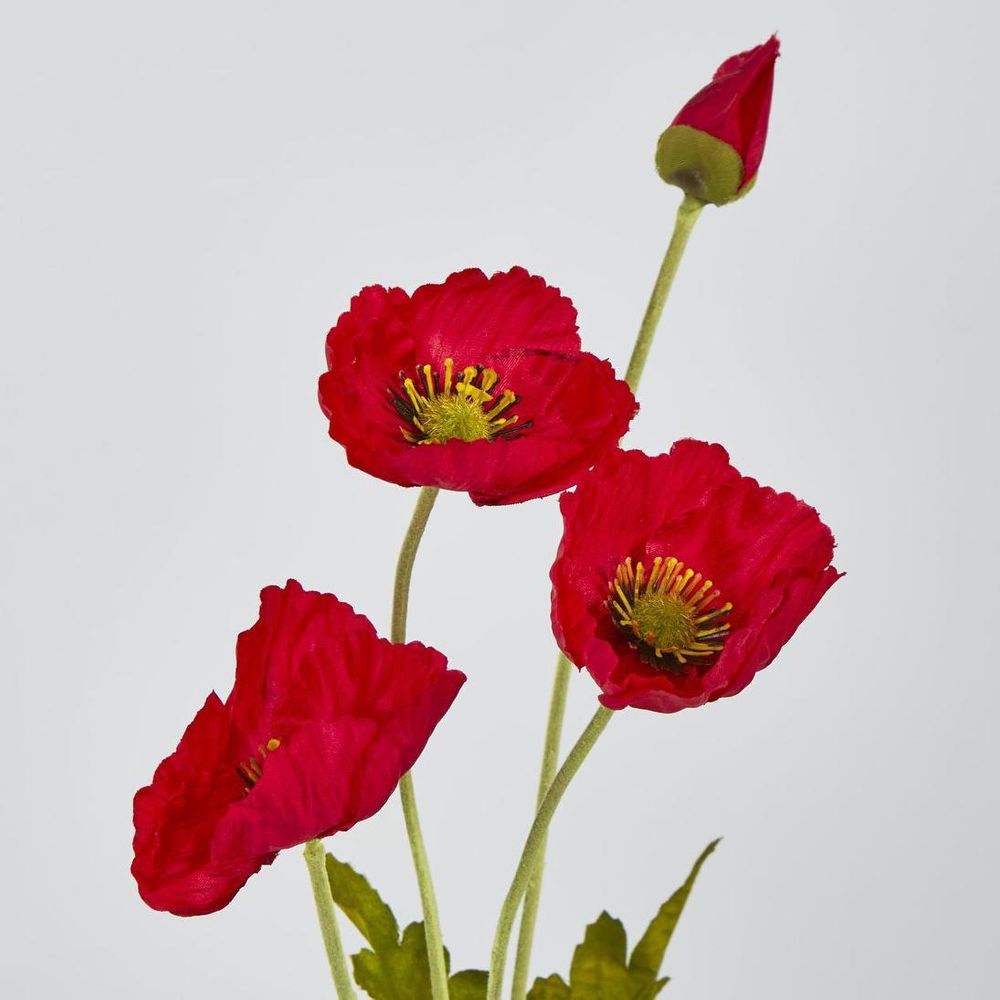 Red Poppy Spray 3 Flowers 1 Bud