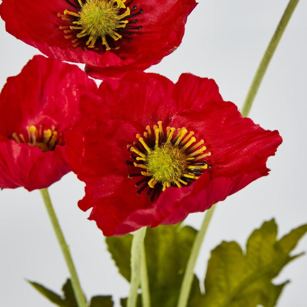 Red Poppy Spray 3 Flowers 1 Bud