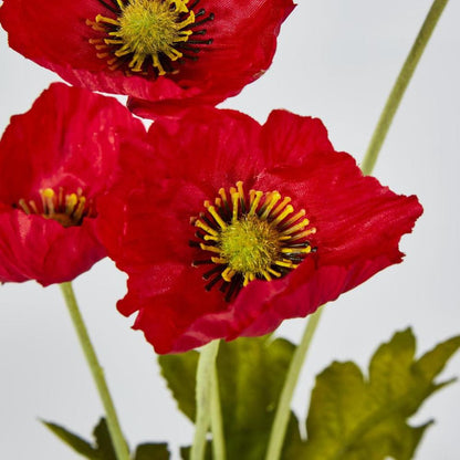 Red Poppy Spray 3 Flowers 1 Bud