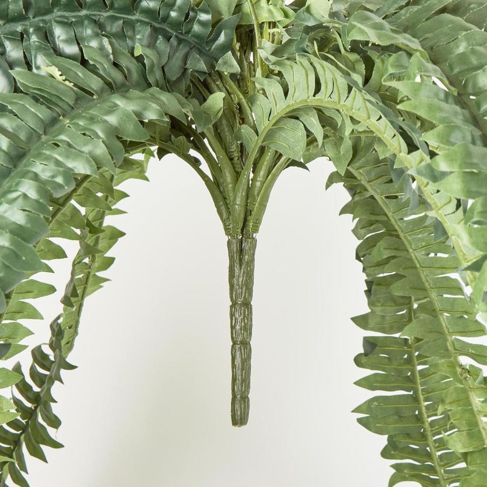 Huge Green Boston Fern Bush 52 Leaves