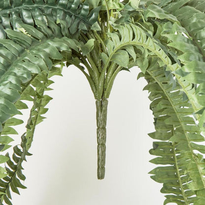 Huge Green Boston Fern Bush 52 Leaves
