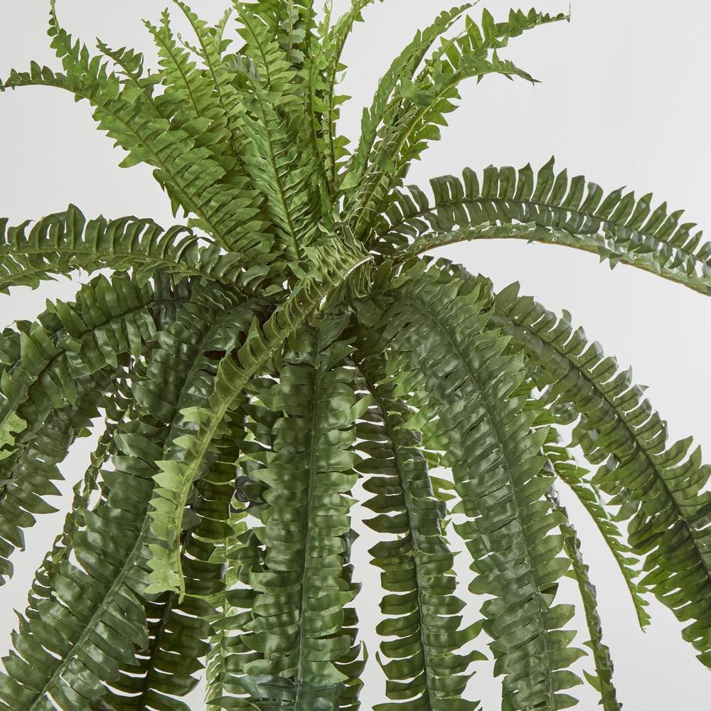 Huge Green Boston Fern Bush 52 Leaves