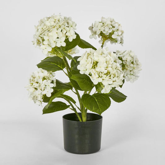Potted Real Touch Hydrangea White 53Cm