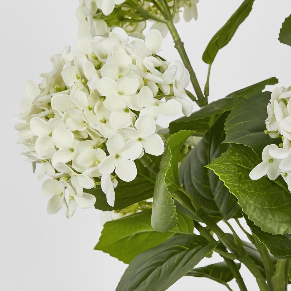 Potted Real Touch Hydrangea White 53Cm