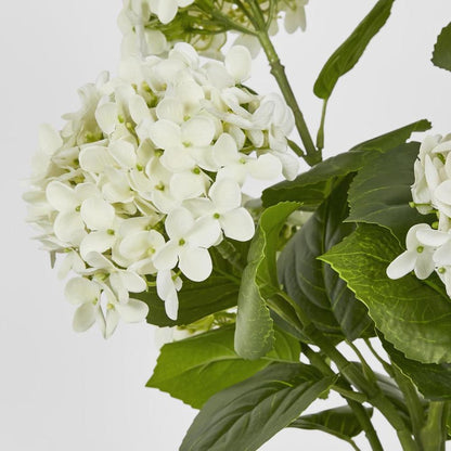 Potted Real Touch Hydrangea White 53Cm