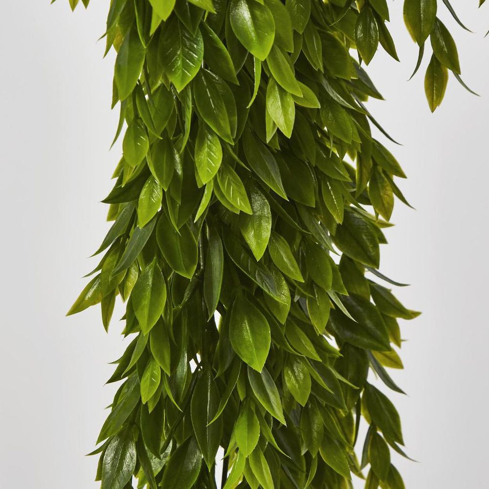 Hanging Ruscus Plant 56Cm