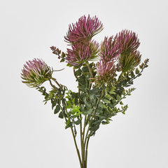 Thistle Bush X 5