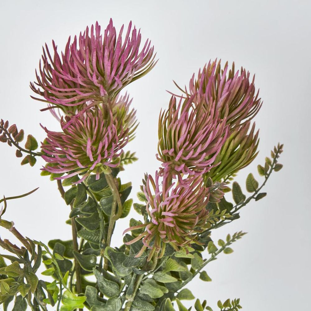 Thistle Bush X 5