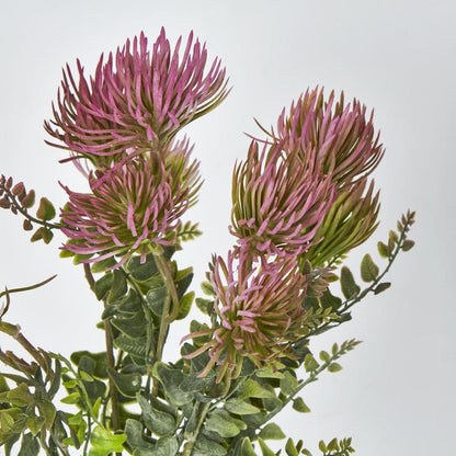 Thistle Bush X 5