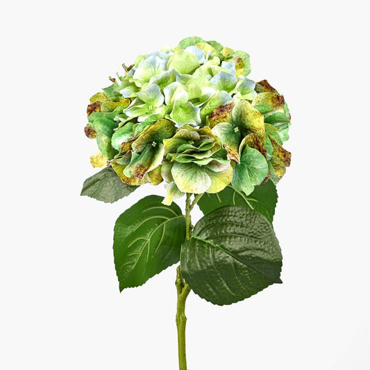Real Touch绣球花 64厘米 绿色