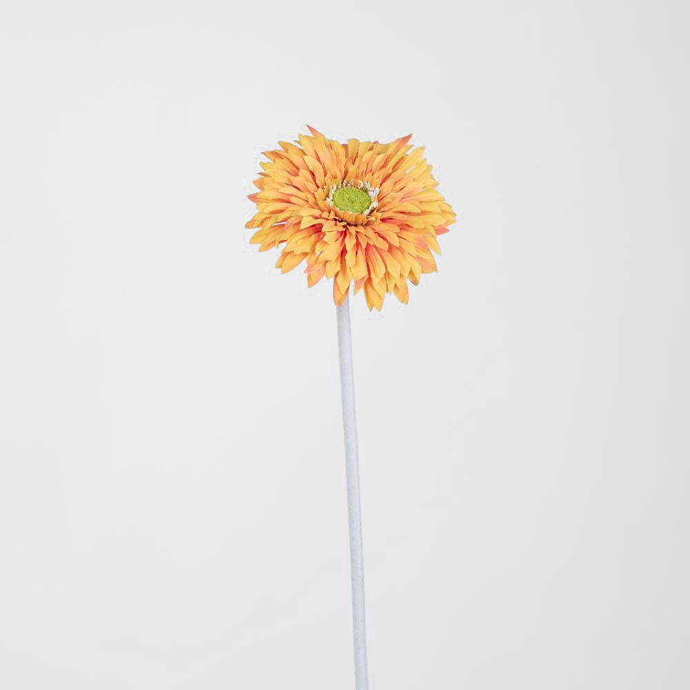 Gerbera Stem Orange
