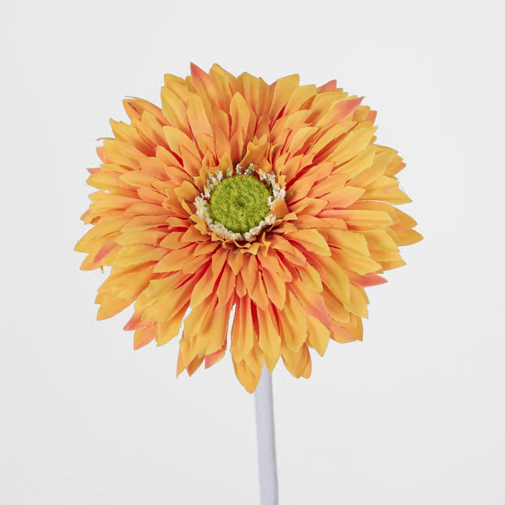 Gerbera Stem Orange