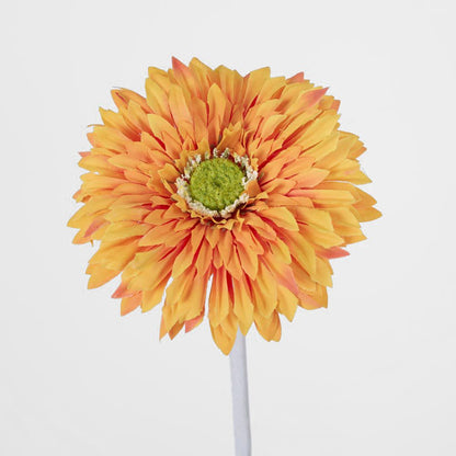Gerbera Stem Orange