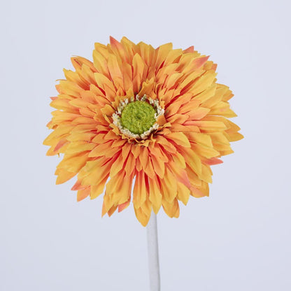 Gerbera Stem Orange