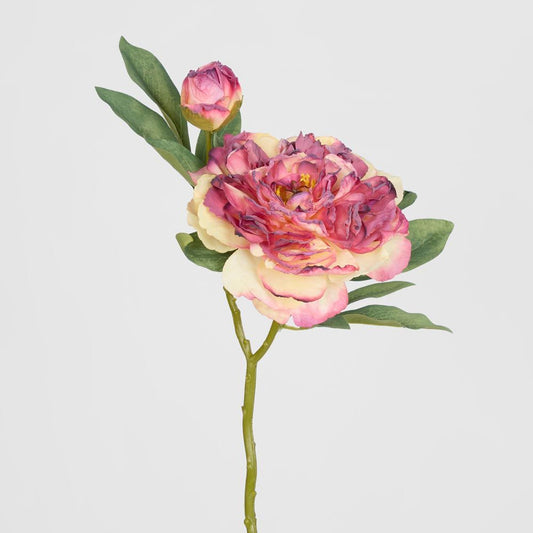 Peony With Bud Stem Burgundy