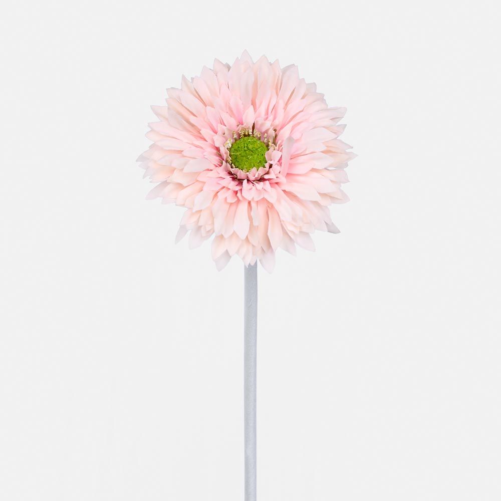 Gerbera Stem Pink