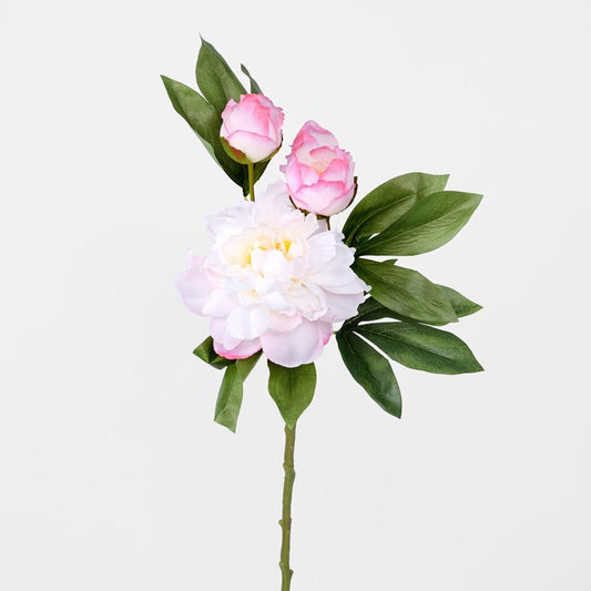 Peony With Two Buds Stem Dark Pink