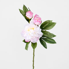 Peony With Two Buds Stem Dark Pink