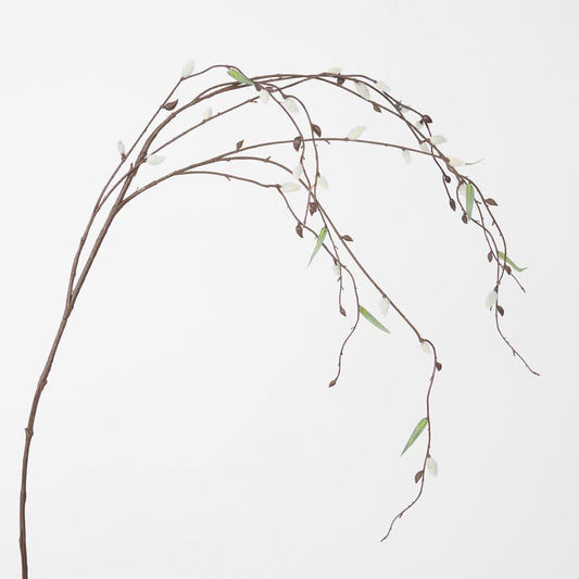 Pussy Willow Stem