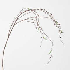 Pussy Willow Stem