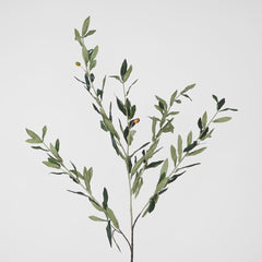 Olive Leaf Spray