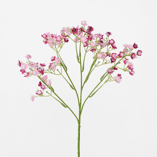 Baby'S Breath Stem Burgundy