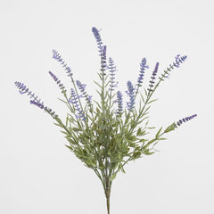 Lavender Bush