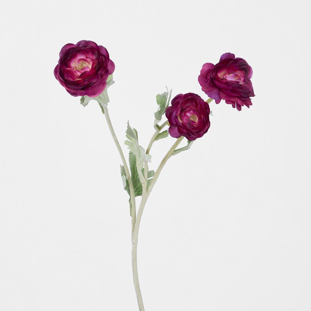 Ranunculus Stem With 3 Heads Magenta