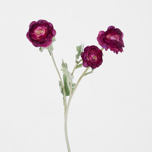 Ranunculus Stem With 3 Heads Magenta