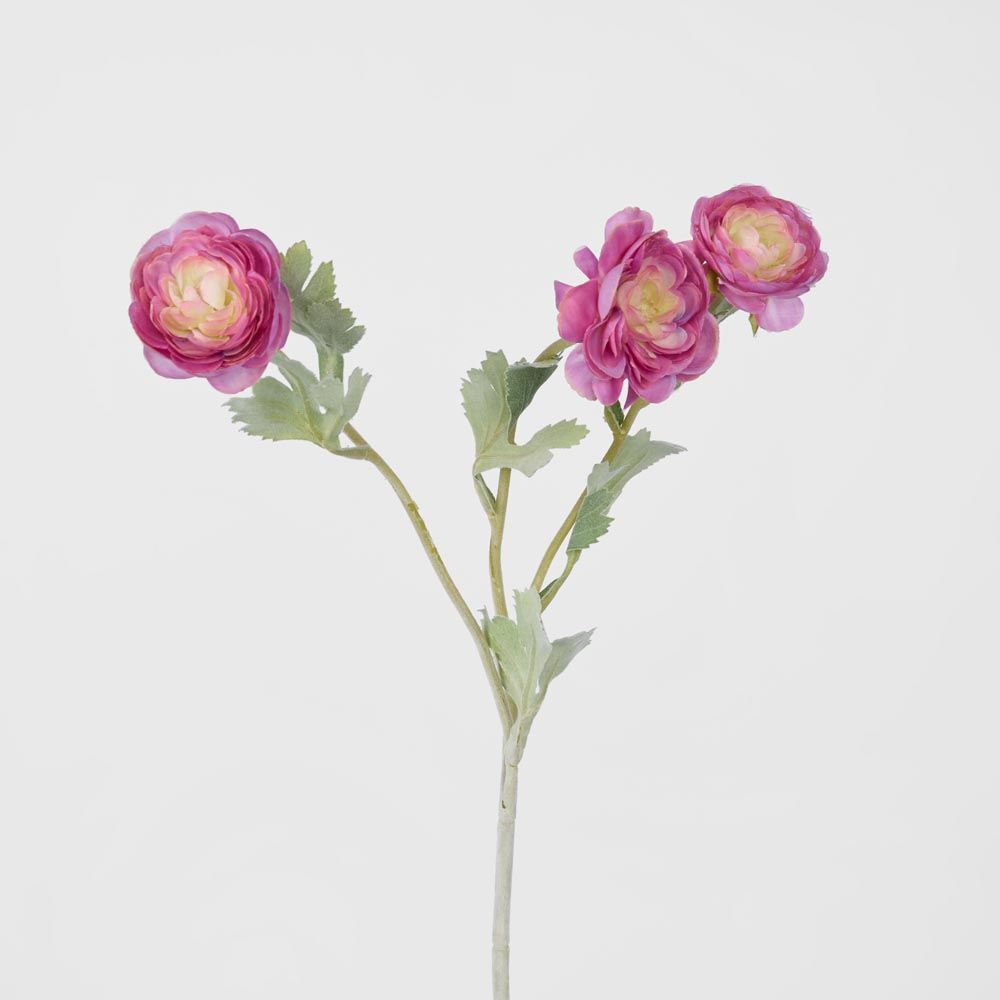 Ranunculus Stem With 3 Heads Pink