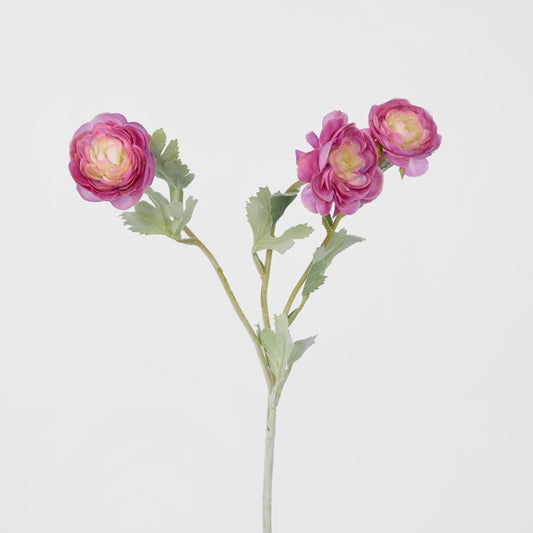 Ranunculus Stem With 3 Heads Pink