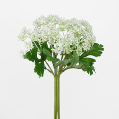 Snow Flower Bunch White