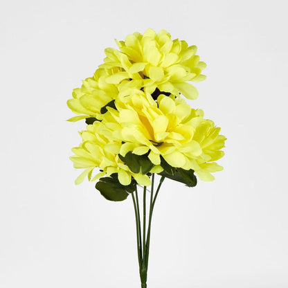 Chrysanthemum Bush Sold In Box Qty Only