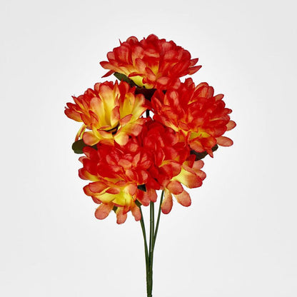 Chrysanthemum Bush Sold In Box Qty Only