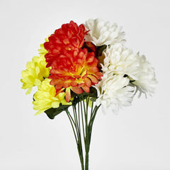 Chrysanthemum Bush Sold In Box Qty Only