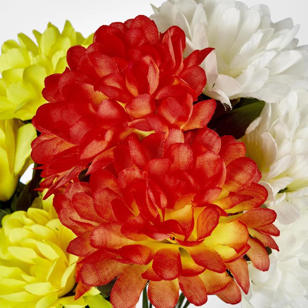 Chrysanthemum Bush Sold In Box Qty Only